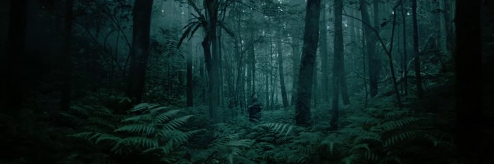screen capture of The Tag-Along