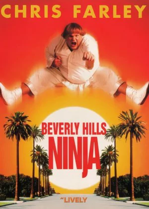 Beverly Hills Ninja poster