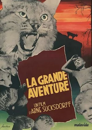 The Great Adventure poster