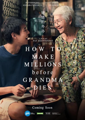 How to Make Millions Before Grandma Dies poster