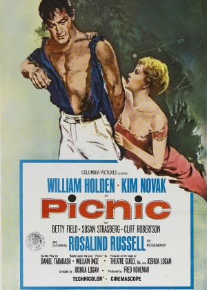 Picnic poster