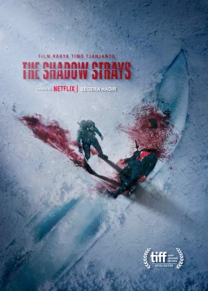 The Shadow Strays poster