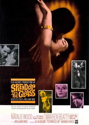 Splendor in the Grass poster